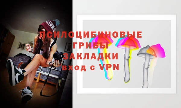 дурь Алексеевка