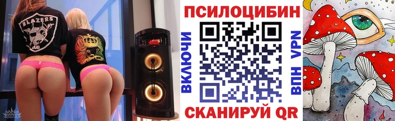 наркота  Покров  Галлюциногенные грибы ЛСД 